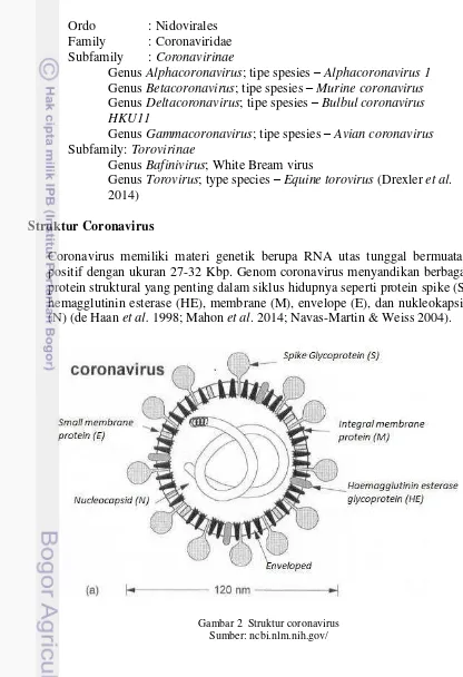 Gambar 2  Struktur coronavirus 