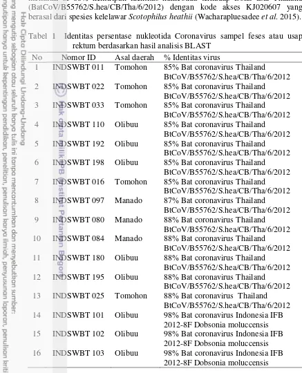 Tabel 1  Identitas persentase nukleotida Coronavirus sampel feses atau usap 