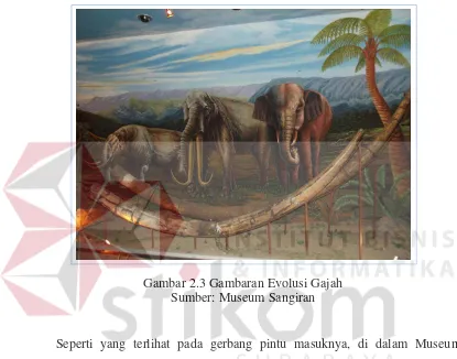 Gambar 2.3 Gambaran Evolusi Gajah 