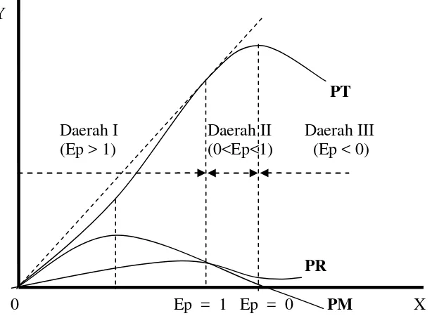 Gambar 3.  Hubungan antara produk total (PT), produk marjinal (PM), produk rata-rata (PR) , dan elastisitas produksi (Ep)