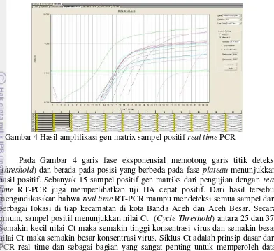 Gambar 4 Hasil amplifikasi gen matrix sampel positif real time PCR 