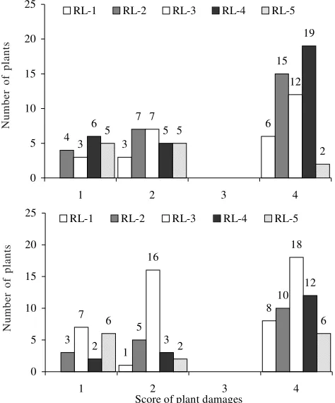 Figure 3. Effects of initial plant height (PH) and root length (RL) ondistribution frequencies of score of plant damage at (a) 30and (b) 60 days after inoculation of abaca variants withBanyuwangi isolate of F