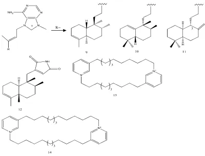 Gambar 4.  Beberapa jenis senyawa alkaloid yang berhasil diisolasi dari spons dan memiliki aktivitas antibakteri, (9) agelasine, B (10) agelasine C, (11) agelasine D, (12) dysidionid A, (13) cyclic bis-1,3-dialkilpiridium, (14) cyclostellettamines A (Arai et al., 2014; Jiao et al., 2014; Lee et al.; Oliviera et al., 2006) 