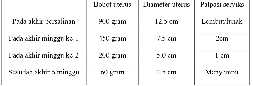 Tabel 1. Perubahan-perubahan yang normal dalam uterus selama masa nifas 