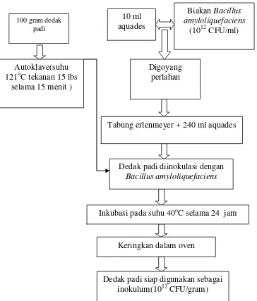 Gambar 2.  Bagan  Pembuatan Inokulum (Wizna et al., 2006 dimodifikasi) 