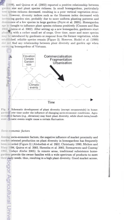 Fig. 3. Schematic development of plant diversity (except ornamentals) in home.
