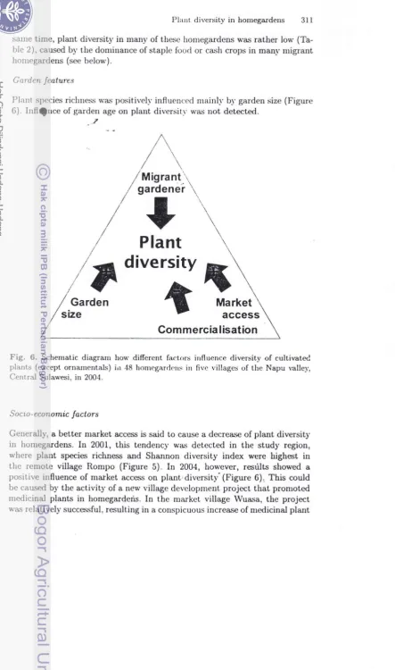 Fig. 6. Schenratic diagram hou' diffcrcnt factors influence diversity of cultivated
