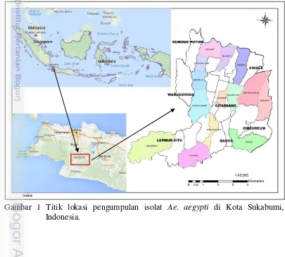 Gambar 1 Titik lokasi pengumpulan isolat Ae. aegypti di Kota Sukabumi, 