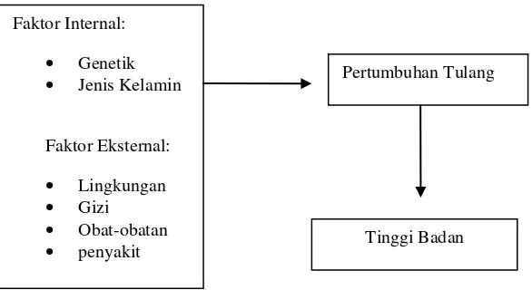 Gambar 1. Kerangka Teori (Supariasa, 2002). 