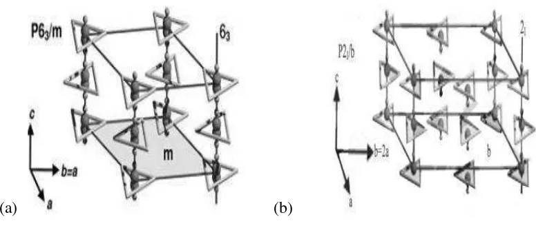 Gambar 2. (a) Struktur HA Heksagonal  (b) Struktur HA Monoklinik        (Corno et   al, 2006)
