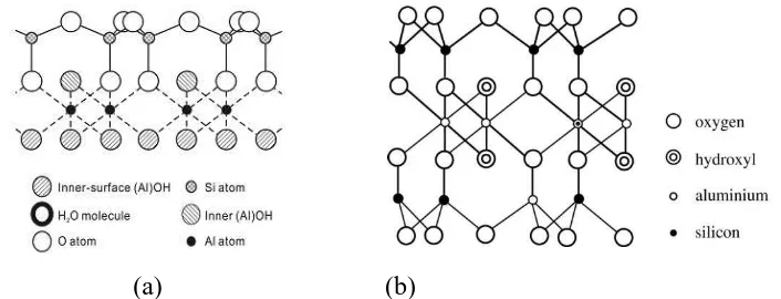 Gambar 2.6. Struktur kimia lempung (a) haloisit (Yuan et al., 2008) dan (b) MMt 