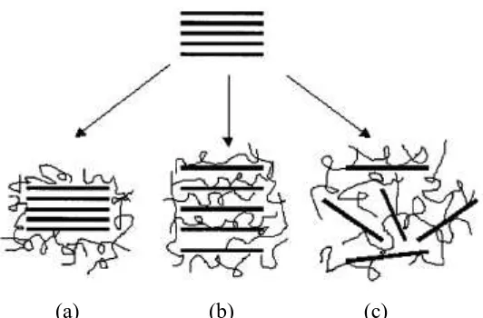 Gambar 2.7. Jenis distribusi lempung di dalam matrik polimer (a) flokulasi, 
