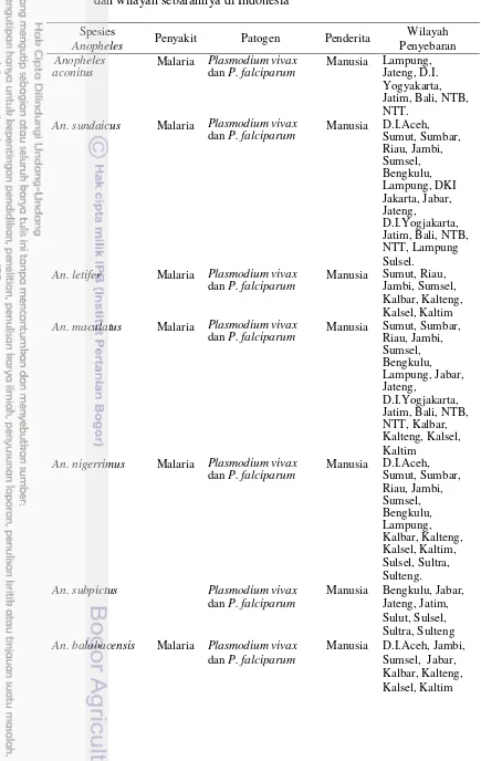 Tabel 1 Jenis-jenis Anopheles spp. yang dapat berperan sebagai vektor malaria dan wilayah sebarannya di Indonesia 