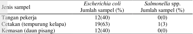 Tabel 16  Tingkat kontaminasi Escherichia coli dan Salmonella spp. pada tangan 