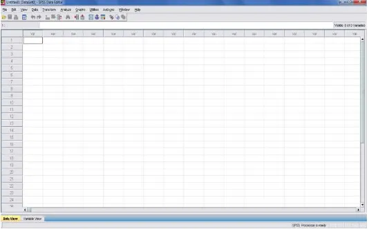 Gambar 5.2 Tampilan Jendela Awal SPSS 