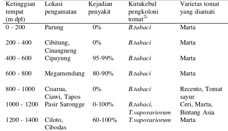 Tabel 1 Kejadian penyakit kuning pada tanaman tomat menurut ketinggian tempat di daerah Bogor dan Cianjur1) 