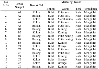 Tabel 2. Bentuk dan Morfologi Koloni Isolat Bakteri Eksosimbion MakroalgaTable 2  . Colony Form and Morfology of Macroalga Exosimbiont Bacteria 
