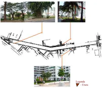 Gambar 22. Vegetasi Existing 