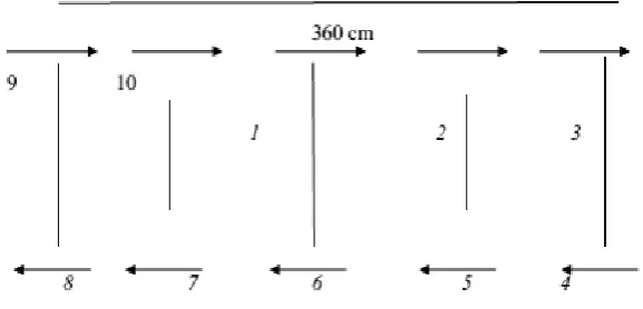 Gambar 2. Pola Side Step Test 