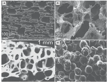 Figure 4. TypicalGibson [64]; part (d), from Lufrom Weng(a), from Maquetmorphologiesofporous polymer foams produced bydifferent techniques and structureofcancellousbone:(a)Thermalinduced phase separation, (b) sol-ventcastingandparticleleach-ing,(c)cancello