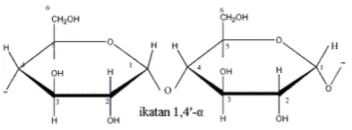 Gambar 2. Struktur Amilopektin 