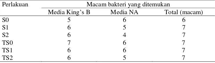 Tabel 6   Keragaman bakteri yang ditemukan pada media King’s B dan NA 