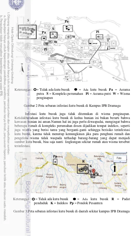 Gambar 2 Peta sebaran infestasi kutu busuk di Kampus IPB Dramaga  