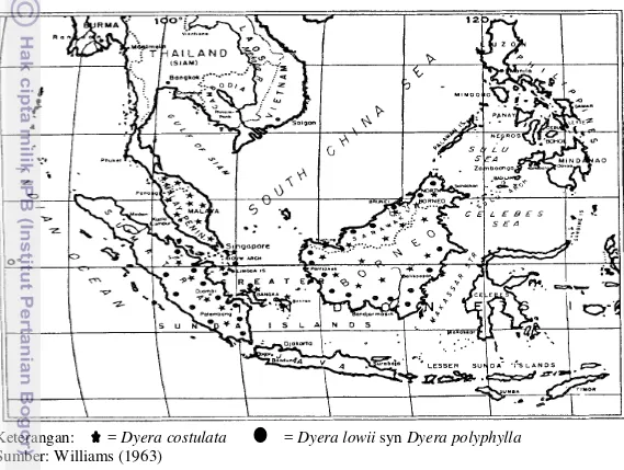 Gambar 3  Peta sebaran jelutung (Dyera spp.) di Asia Tenggara 
