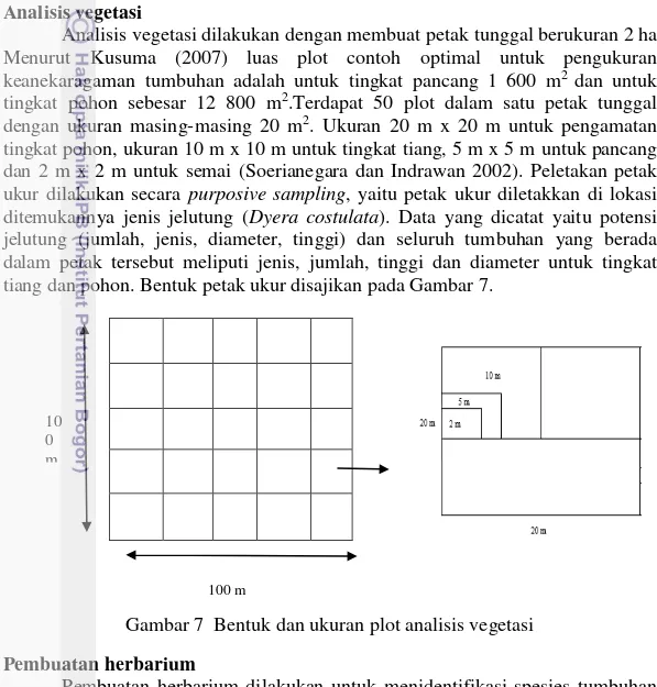 Gambar 7  Bentuk dan ukuran plot analisis vegetasi  Pembuatan herbarium  