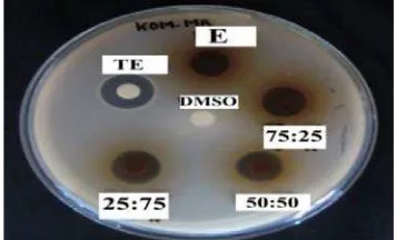 Tabel 5. Hasil uji aktivitas antibakteri kombinasi  ekstrak  etanol  kulit  buah delima  dan tetrasiklin terhadap Pseudomonas aeruginosa multiresisten antibiotik (n= 3) 