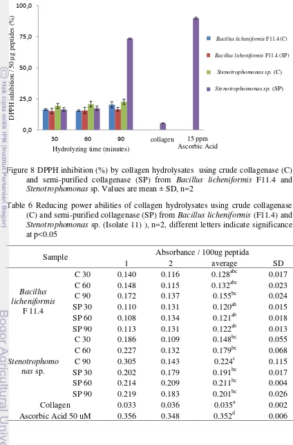 Figure 8 DPPH inhibition (%) by collagen hydrolysates  using crude collagenase (C) 