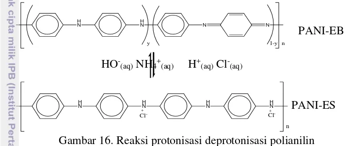 Gambar 16. Reaksi protonisasi deprotonisasi polianilin 