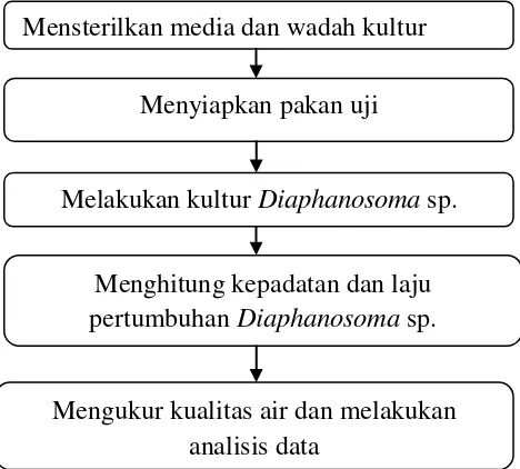 Gambar 7. Diagram alir penelitian 