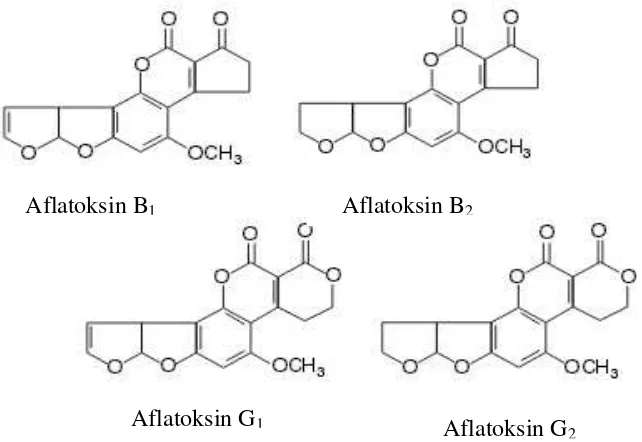 Gambar 3. Struktur kimia aflatoksin (Oliveria dan Corassin 2014) 