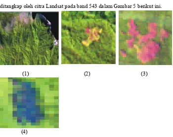 Gambar 5. Beberapa Contoh Cuplikan Citra Satelit dengan Kombinasi Band 543: (1) Hutan, (2) Kebun Campuran, (3) Lahan Terbuka, (4) Sawah 