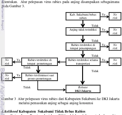 Gambar 3  Alur pelepasan virus rabies dari Kabupaten Sukabumi ke DKI Jakarta 