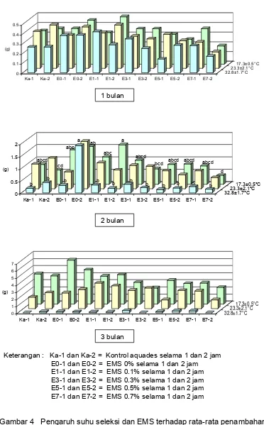 Gambar 4   Pengaruh suhu seleksi dan EMS terhadap rata-rata penambahan                     bobot segar eksplan umur 1, 2 dan 3 bulan