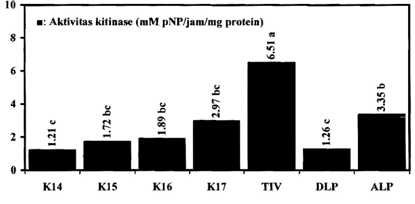 Gambar 2. Aktivitas kitinase pada ekstrak protein kasar dari jaringan kalus dan tunas in vitro serta daun dan  akar tanaman T
