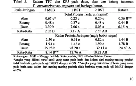 Tabel 5. Rataan TPT dan KPJ pada daun, akar dan T. cucumerina var. anguina dari berbagai umur