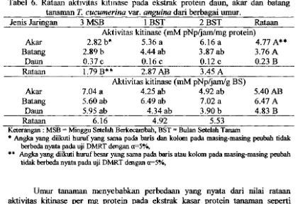 Tabel 6. Rataan aktivitas kitinase pada ekstrak protein daun, akar dan batang 