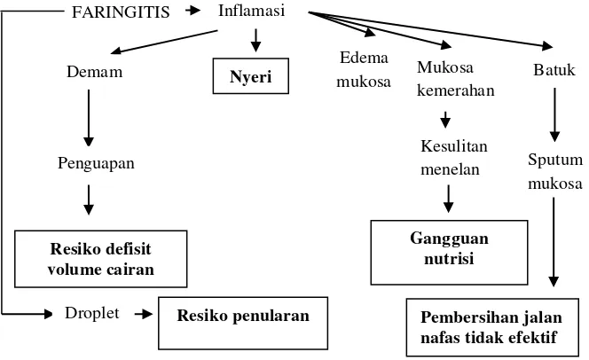 Gambar 3. Patofisiologi Faringitis Akut 