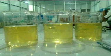 Gambar 2. Hasil larutan granul   effervescent ekstrak buah asam gelugur. 