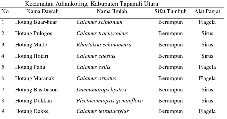 Tabel 2. Daftar spesies rotan pada kawasan Hutan Batang Toru Blok Barat         