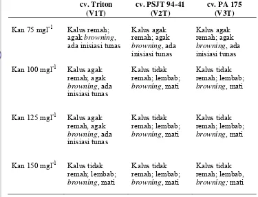 Tabel 12 .Struktur dan warna kalus dalam media seleksi kanamisin usia 4 minggu ..setelah tanam