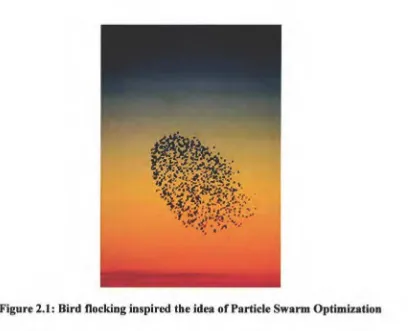 Figure 2.1: Bird flocking inspired the idea of Particle Swarm Optimization 
