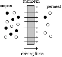 Gambar 1. Skema pemisahan dua fasa oleh membran