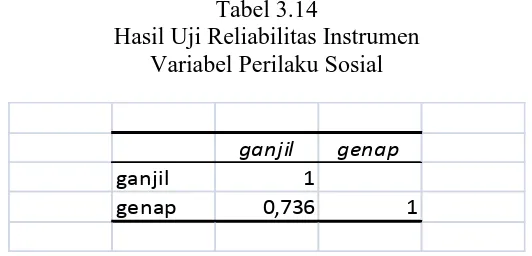 Tabel 3.13  Hasil Uji Reliabilitas Instrumen 