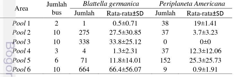 Gambar 2  Jenis lipas; A: Blattella germanica; B: Periplaneta americana 