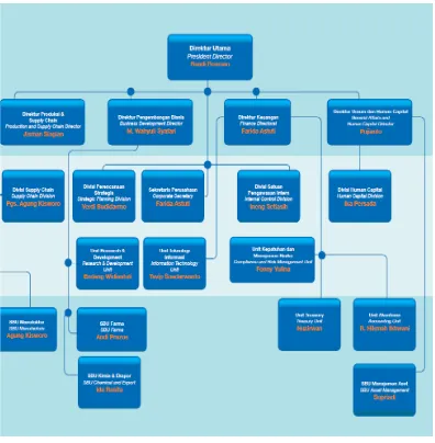 Gambar 2.1 Struktur Organisasi PT Kimia Farma (Persero) Tbk 