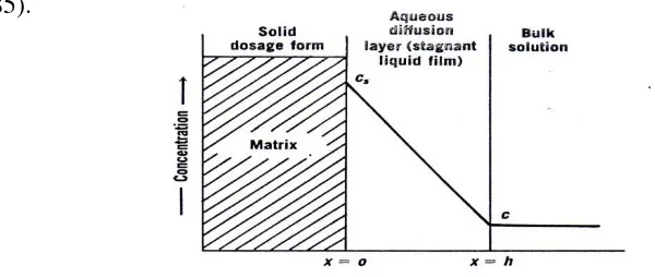 Gambar 7. Disolusi obat dari suatu padatan matriks (Martin et al., 1993). 